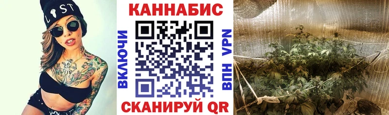 Сколько стоит Гвардейск Галлюциногенные грибы Канабис mega ссылка Гашиш Меф КОКАИН Амфетамин