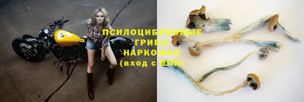 MESCALINE Богородицк
