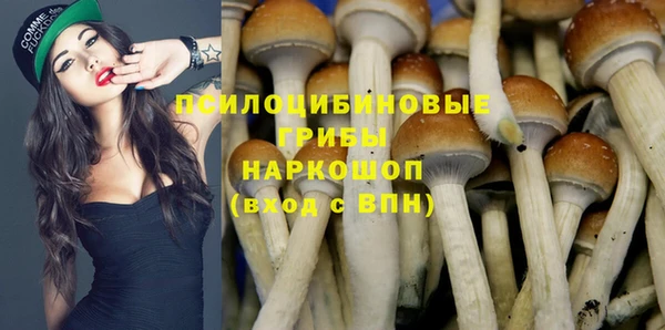таблы Аркадак