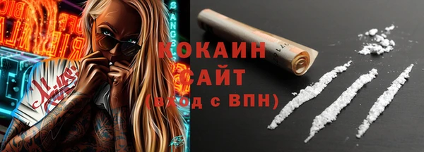 индика Арсеньев