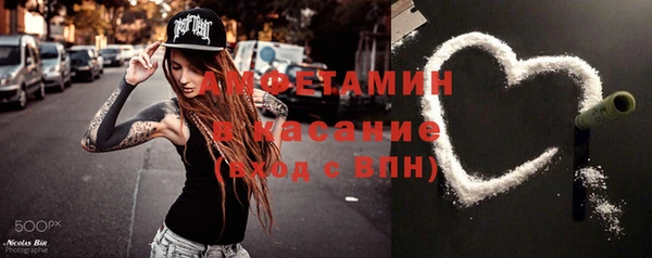 индика Арсеньев