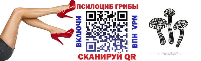 Галлюциногенные грибы Psilocybine cubensis  Гвардейск 