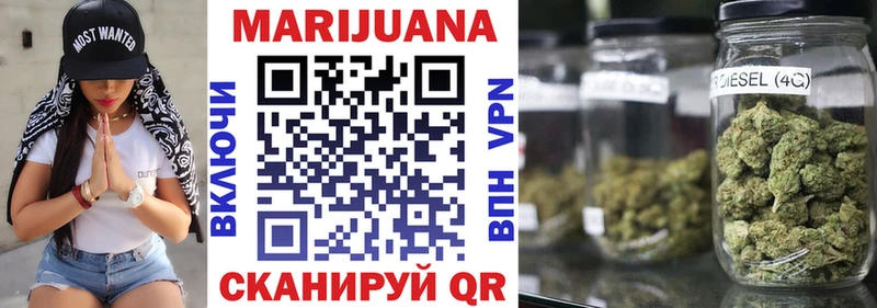 закладка  Гвардейск  Конопля гибрид 